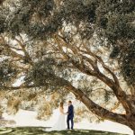 Erin and Matt standing under a large tree having their first look.