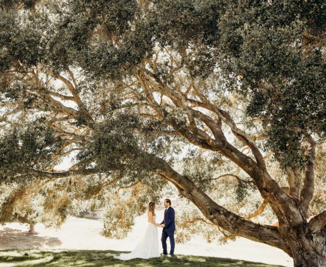 Erin and Matt standing under a large tree having their first look.