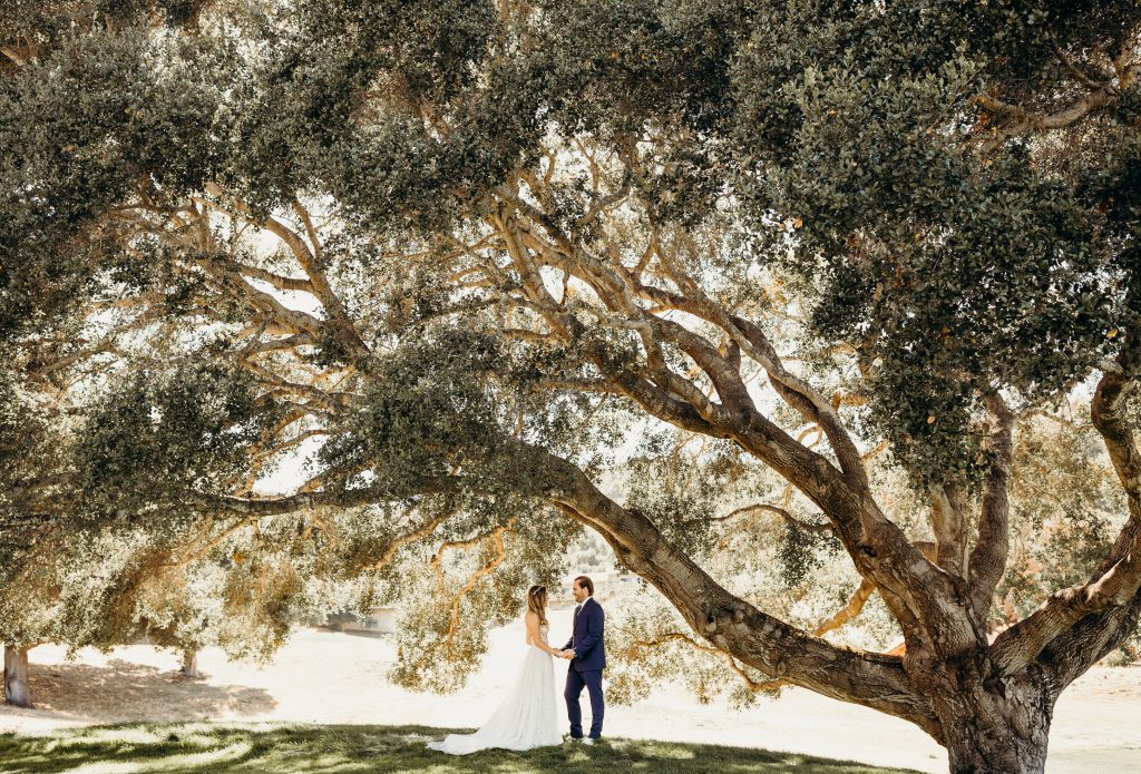 Erin and Matt standing under a large tree having their first look.