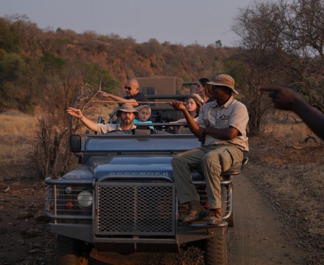 People riding in a jeep in the savanna